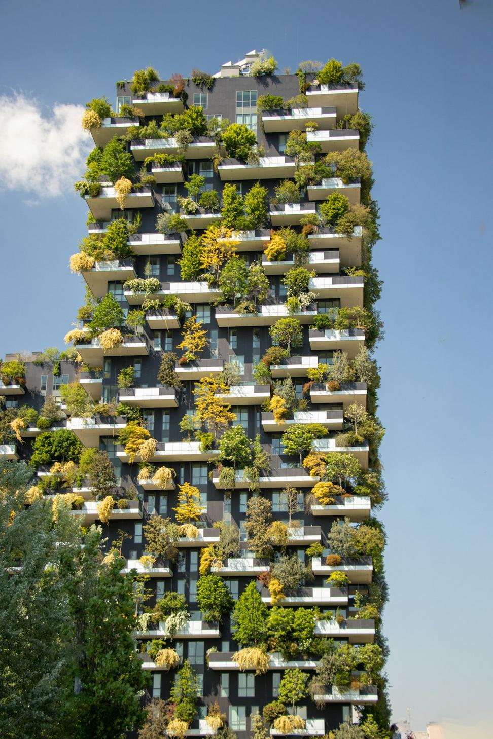 Featured residential project